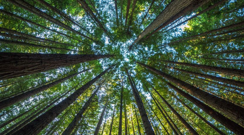 2 Peter 1:5-7: Spiritual Maturity Explained in Three Verses