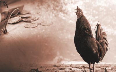 After Sin: Lessons From Judas and Peter