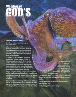 Giant Pacific Octopus