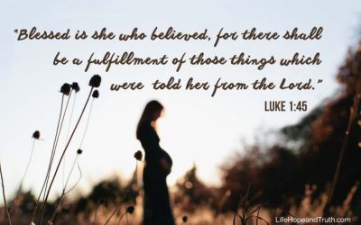 Elizabeth Mother of John the Baptist