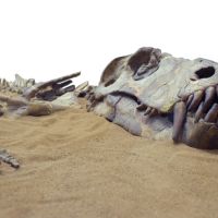 Geologic Dating Methods