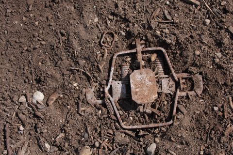 Christianity in Progress: How to Not Be a Stumbling Block