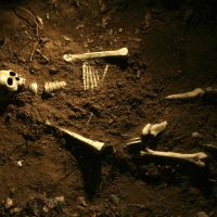 Many believe that humans existed before the creation of Adam and Eve. Considering the biblical account and the fossil evidence, who was the first man?