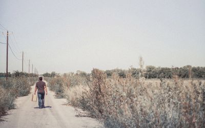 The Prodigal Son: A Parable With Overlooked Meaning