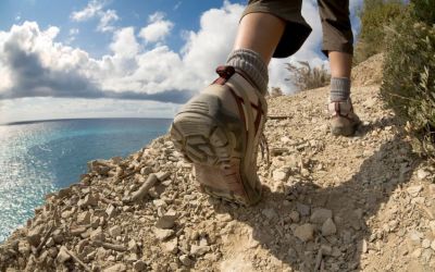 Seek ye first the Kingdom of God