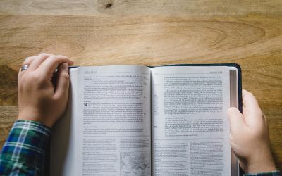 Should You Buy a Bible? 
