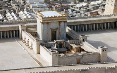 Surprising Truths From the Olivet Prophecy