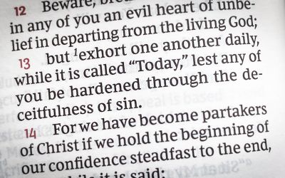 The Meaning of Hebrews 3:13: “Exhort One Another”?