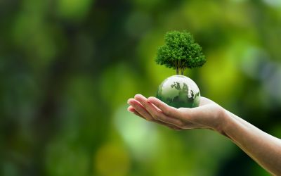 The Pope’s Solution to Climate Change: Is It God’s Solution?