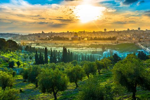 The Sermon Within the Olivet Prophecy