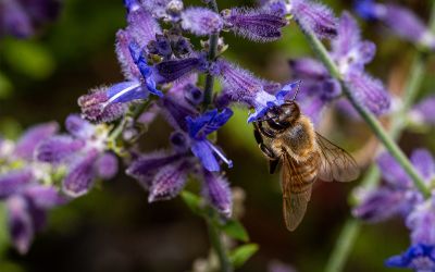 Three Reasons to Believe in God