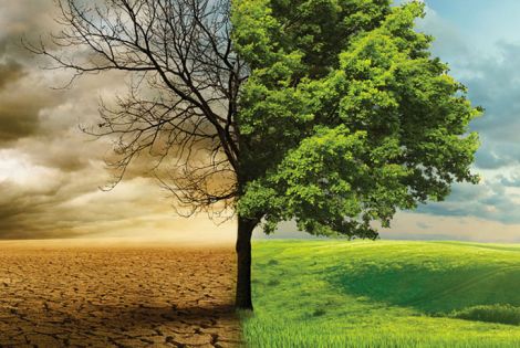 Water in Bible Prophecy