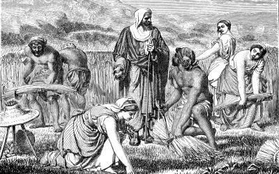 Drawing representing Ruth gathering grain while Boaz looks on to illustrate the article What Is a Kinsman-Redeemer?