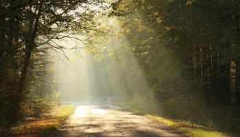 What Is the Meaning of James 1:17? All Gifts Are From God? 
