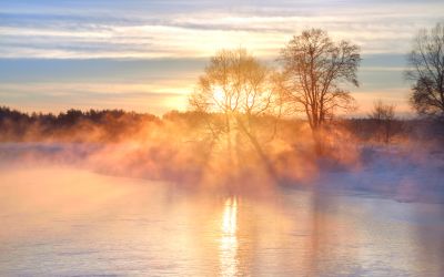 The Meaning of Romans 8:19: The Creation Waits for the Sons of God?