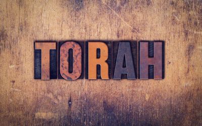 What Is the Torah?