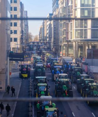 <p>Image: flickr.com/photos/epp_group_official/24-02-01_Farmers_protest-13</p>