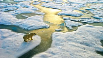 What Does the Bible Say About Climate Change?