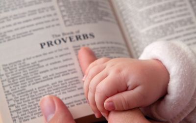 Wisdom Literature in the Bible: photo of hands of an adult and child on the book of Proverbs