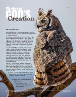 Great Horned owl