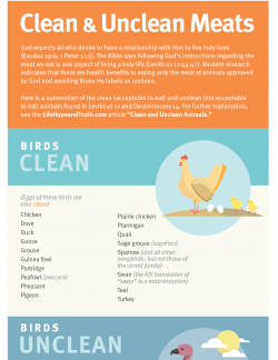 Clean & Unclean Meats