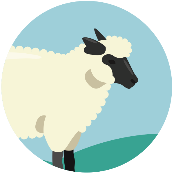 Shepherding the Heart